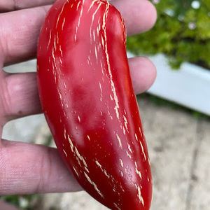 Meet your Posher, Florentin